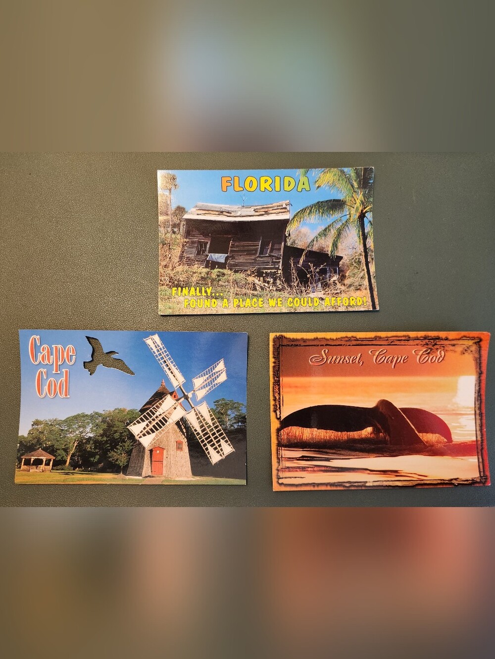 Lot Of 3 Novelty Cape Cod And Florida Unused Postcards